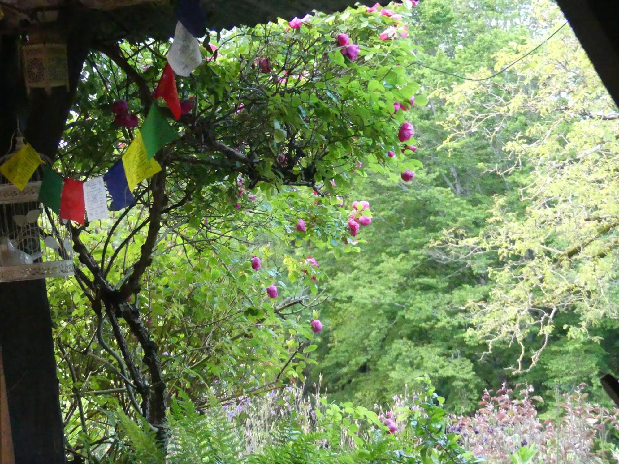 Saint-Bonnet-de-Bellac Au Coeur Des Loges B&B 외부 사진